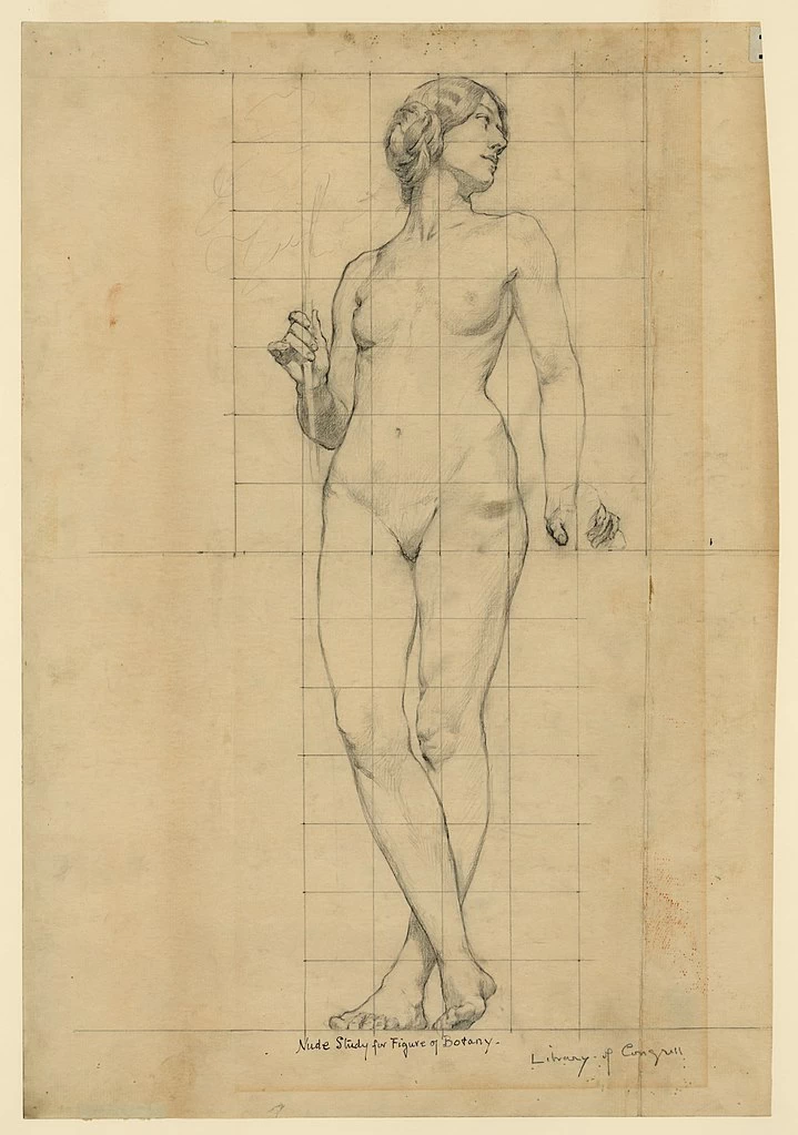 Studio per la figura della Biblioteca del Congresso di Botanica